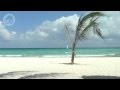 Xcalacoco Beach - A Lonely Palm on a Wide, Relaxing Beach (B)