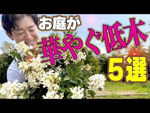 【花に頼らない！】花以外でお庭を華やかにしてくれるオススメ低木をご紹介します！