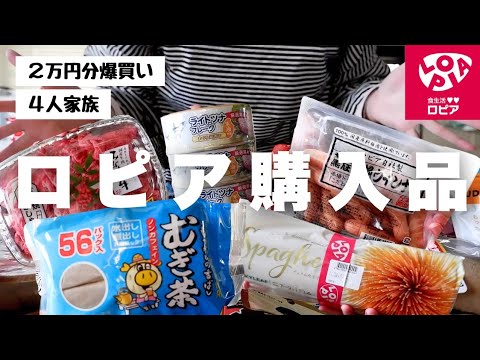 【爆買い】ロピアで約2万円分爆買いしたので購入品紹介🐷🛒💸【食料品紹介】