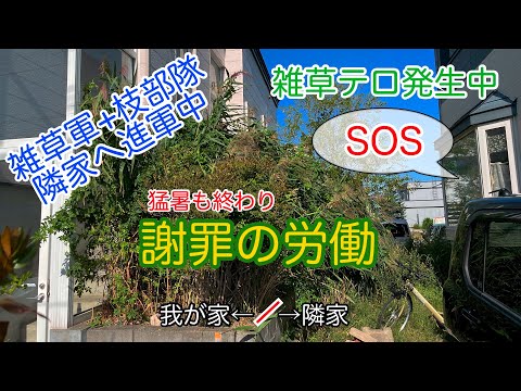 【マジ?】天からの援軍 ご近所から奪い取れ! ガーデンシュレッダー