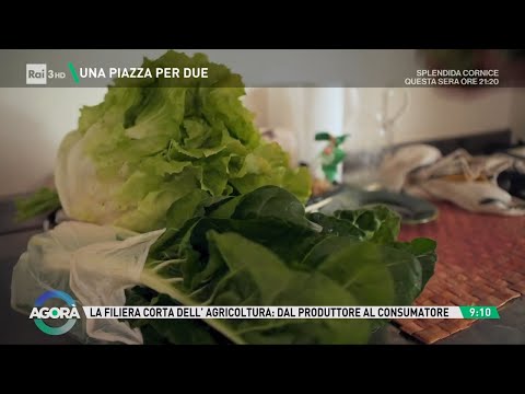 Dal produttore al consumatore - Agorà 15/02/2024