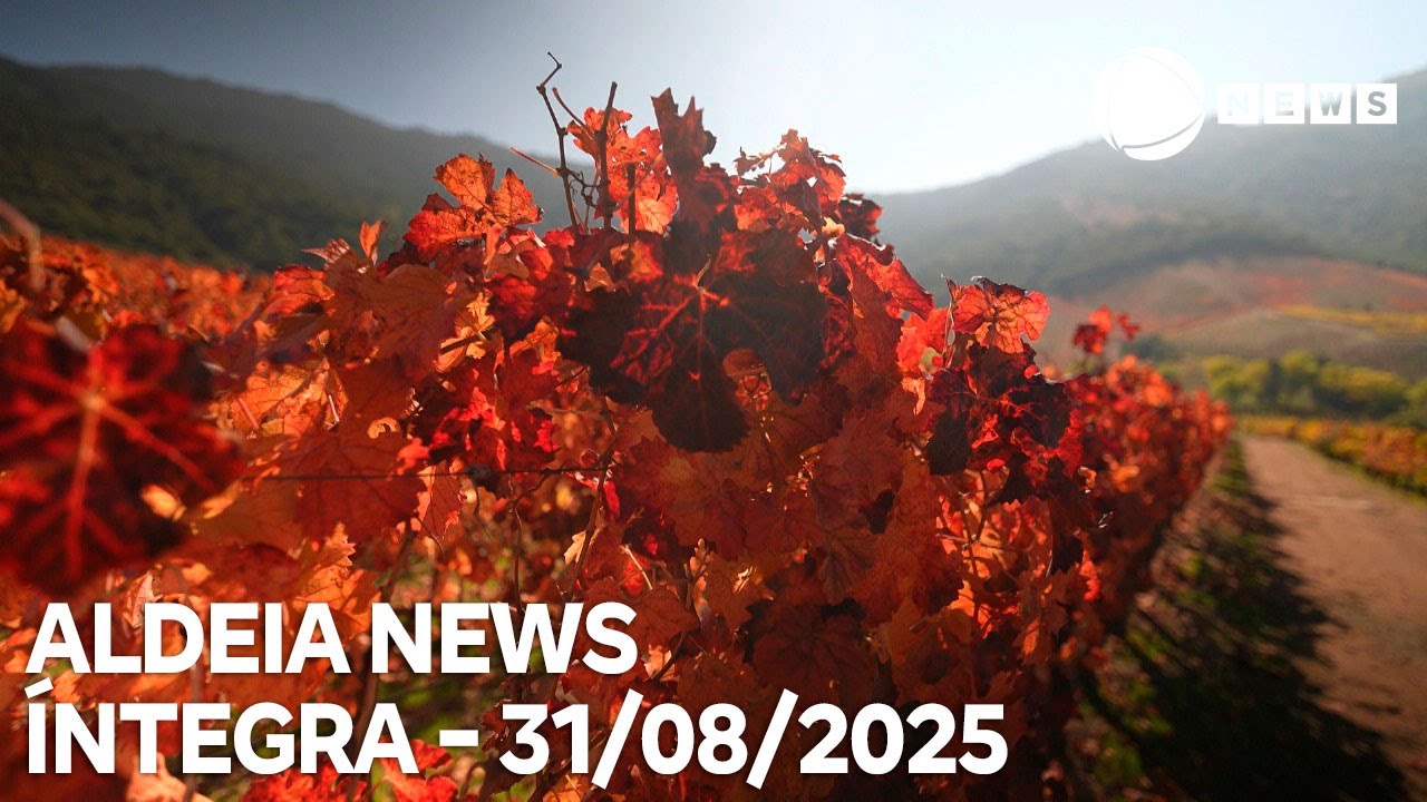 Aldeia News   31082025