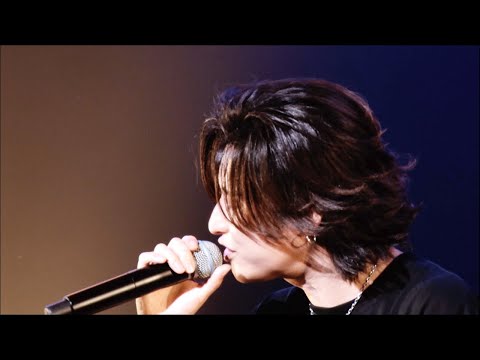 WANDS 「大胆」 (LIVE at DOJIMA RIVER FORUM 2024.4.6)