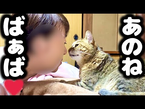 大好きなバァバにずっとくっ付いて離れない元野良猫が可愛すぎる♡