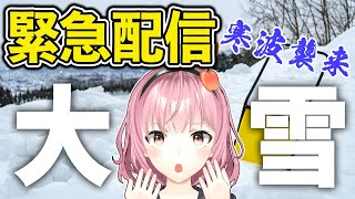 【緊急配信】寒波襲来で記録的大雪…！雪について語ろう【津軽弁VTuber】