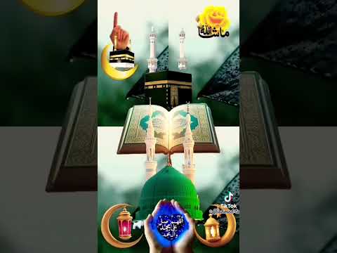 #aliahmedtalukder #beautiful #quran #reaction #shorts #short #cute