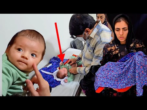 Documentary of nomadic love and affection: 