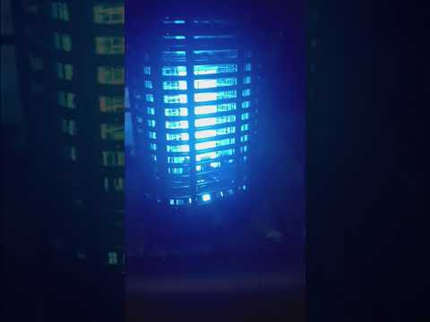 bugs zapping 