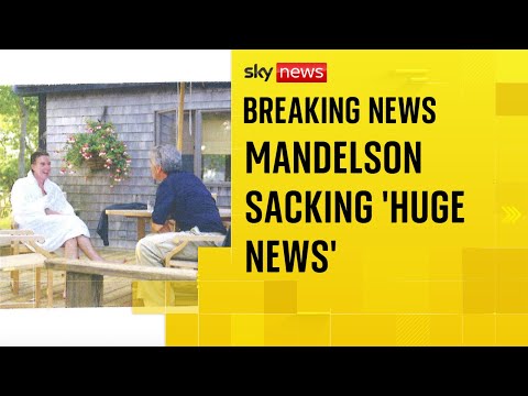 Analysis: Lord Mandelson's inclusion in Epstein files made his position 'untenable'