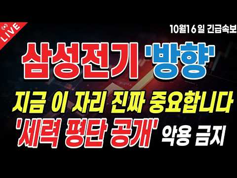 <strong>오늘이</strong> 반등의 분기점 될까!? 강력한 V자 반등, ‘이 신호’부터 확인!
