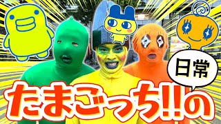 動画サムネイル