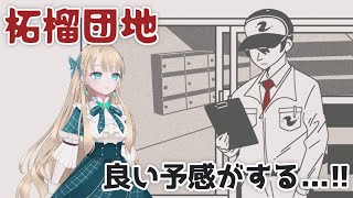 【Demo】奇妙なルールのある場所で警備するよ【柘榴団地】