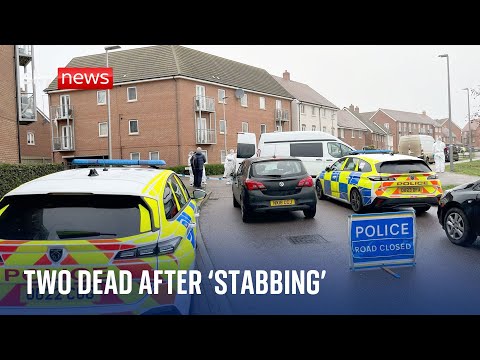 Two women and dog killed after Christmas Day 'stabbing' at flat in Milton Keynes