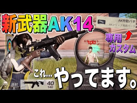 【荒野行動】新武器AK14まさかのヘッショワンパンで最強すぎるwwww