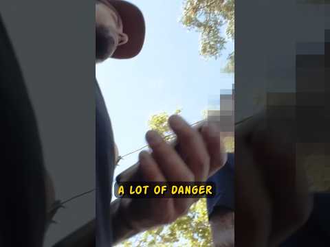 Inside the most dangerous hood of Santiago, Chile 🇨🇱 #chile #vlog #cartel