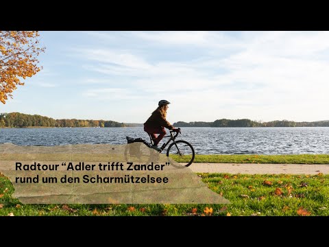 Brandenburg-Erlebnis: Entdeckertour "Adler trifft Zander"