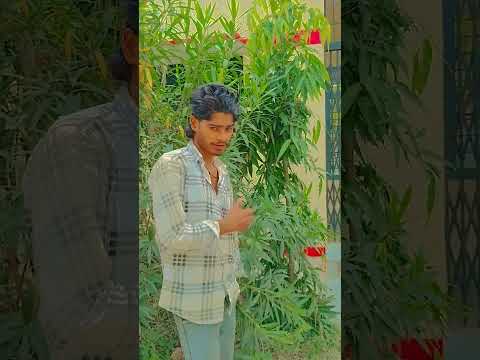 मैं इश्क उसका वो आशिकी है मेरी #song 🥀💔 #bollywood #hindisong #youtubeshorts #shortsfeed #dance #🤩🫵🥰