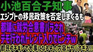 【小池百合子知事】エジプトの移民政策を否定しまくるも都議に就労合意書バラされデモ行われトレンド入りでピンチw都民ブチギレで大事になるその内容