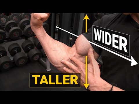 How to Get Bigger Biceps (TALLER & WIDER!) - UCe0TLA0EsQbE-MjuHXevj2A