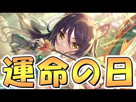 【プリコネR】いよいよ待ちに待った運命の日がやってきます…【プリコネ】