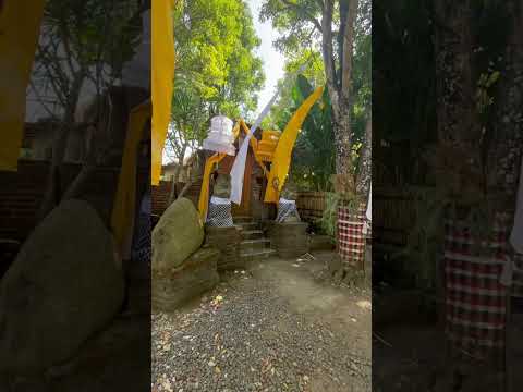 Grya #bali #asri #indah #adem #diantara pohon cengkeh