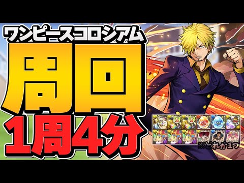 ワンピースコロシアム周回編成紹介！１周４分で破格の激ウマ報酬をゲットしよう！【パズドラ】