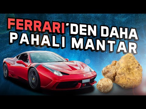 Ferrari'den Pahalı Mantar 