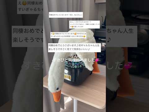 【ご報告すきぴと同棲はじめました】