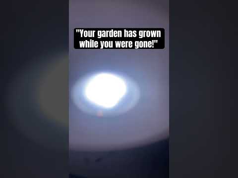 Think fast chucklenuts!