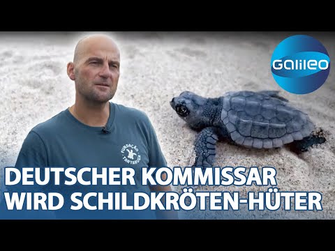 Naturschützer gegen die Wilderei: Deutscher Kommissar wird Schildkröten-Hüter | Galileo | ProSieben