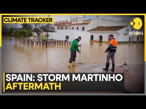 Spain: Historic Bridge Collapse After Intense Rainfall Due To Storm Martinho | WION Climate Tracker