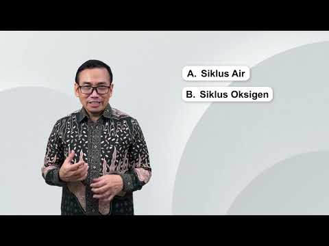 Pengantar Bab 5 Siklus Biogeokimia di Laut