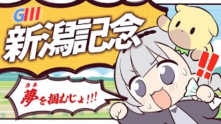 ＼🚩競馬配信🏇／新潟記念【 白百合リリィ / ビビドニア 】