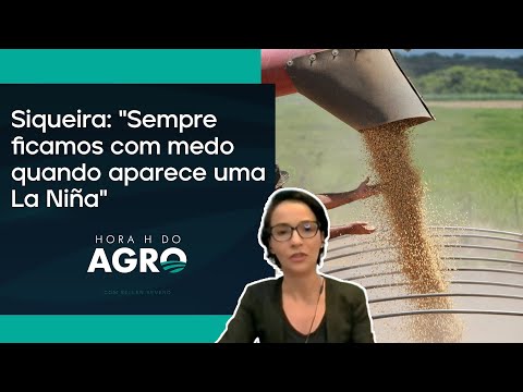 3 principais riscos para a safra de soja 24/25 | HORA H DO AGRO