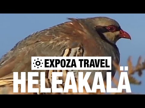 Heleakalä (Hawaii) Vacation Travel Video Guide - UC3o_gaqvLoPSRVMc2GmkDrg