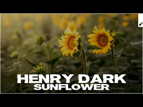 Henry Dark - Sunflower (Extended Mix) [AP] - UC-0tVXD8PHrPf4z4yokCkZg