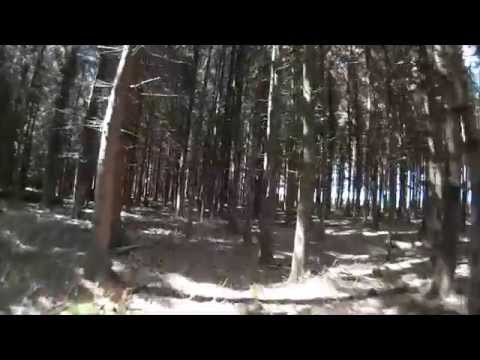 FPV in the Woods // Race Quad 250 // First Flight // with Crash // Fatshark // Mini H // Runcam // - UCAf5MMZ3doB8cHI07rEIwfA