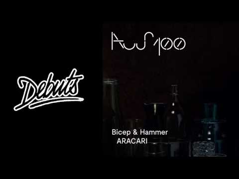 Bicep & Hammer “ARACARI" - Boiler Room Debuts - UCGBpxWJr9FNOcFYA5GkKrMg