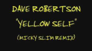 Dave Robertson - Yellow Self (Micky Slim Remix)