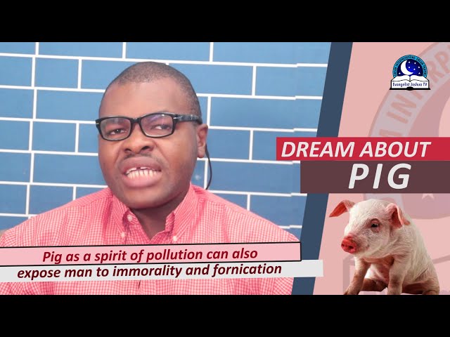 What Does It Mean To Dream About A Pig?