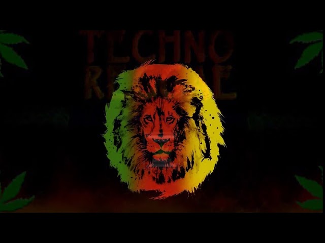 Reggae Techno Music for Your Next Party