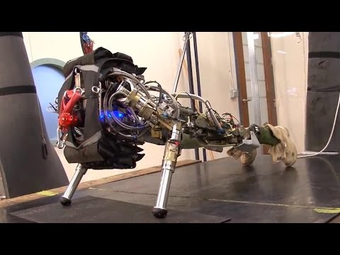 Tomorrow Daily - 144: The best robot training montage you'll ever see - UCOmcA3f_RrH6b9NmcNa4tdg
