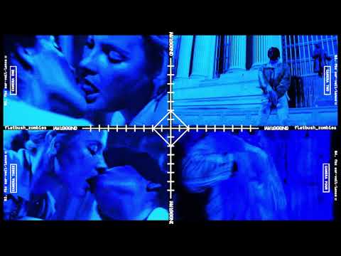 Flatbush ZOMBiES -