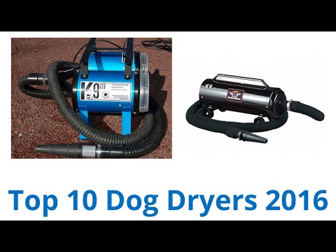 10 Best Dog Dryers 2016 - UCXAHpX2xDhmjqtA-ANgsGmw