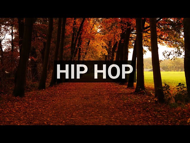 Which Hip Hop Artist’s Music Crosses Over Into Alternative Rap and Rhythm and Blues
