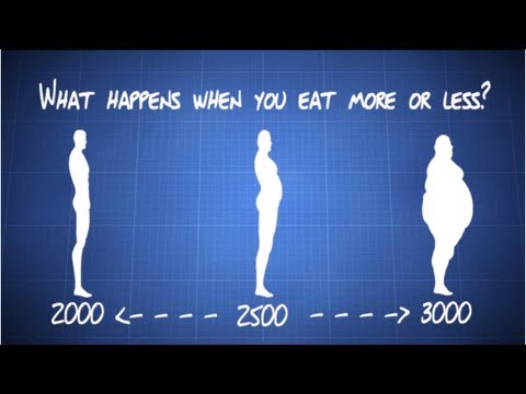 How to lose weight - The easy explanation. - UCNfwT9xv00lNZ7P6J6YhjrQ