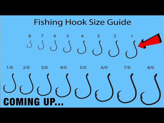 What Size Hook Do You Need For Bass Fishing StuffSure