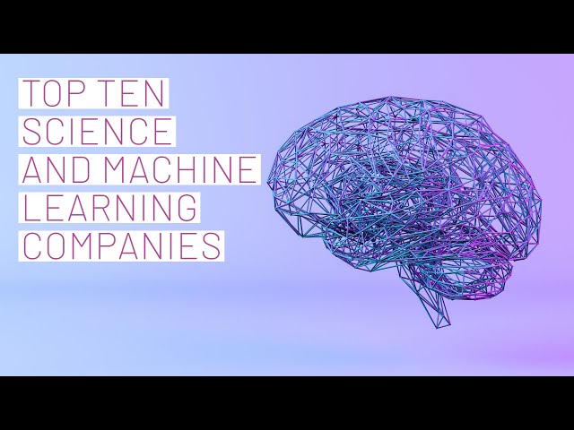 The Top 10 Public Machine Learning Companies