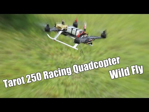 Tarot 250 Mini Racing Quadcopter Wild Fly - UCzVmIzWnHkWFSnYQeYnf0OA