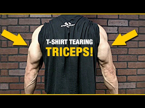 HUGE TRICEPS WORKOUT (Get "T-SHIRT TEARING" Triceps!) - UCe0TLA0EsQbE-MjuHXevj2A